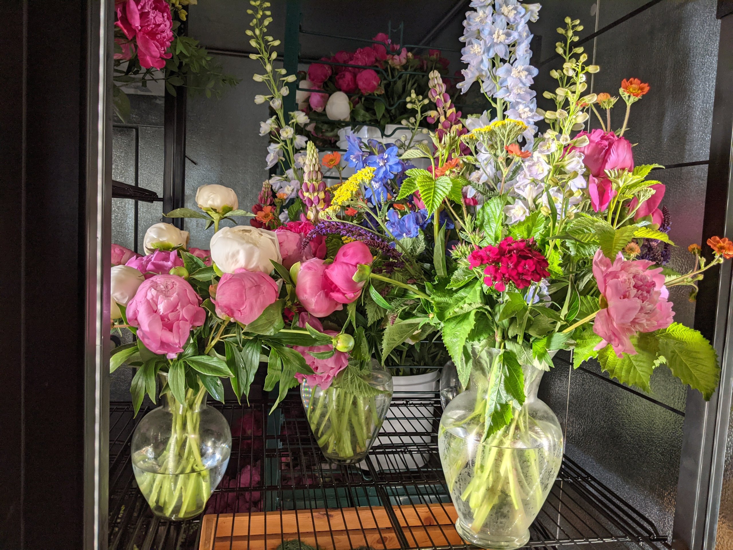 Fresh, Local, Sustainably Grown Flowers